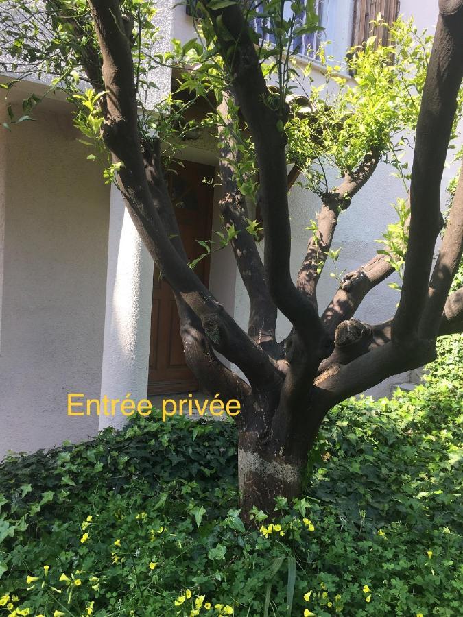 Hotel La Nectarine Nicea Zewnętrze zdjęcie